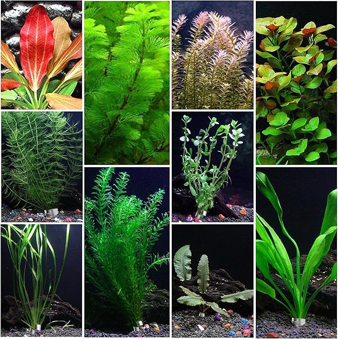 Aquarium Plant Weights Anchors,52Pcs Aquarium Plant Anchors Metal,2.75 Inch Bendable Cuttable Aquarium Plant Weights,Aquatic Plants Anchor for Live Plants in Fish Tank., Silvery