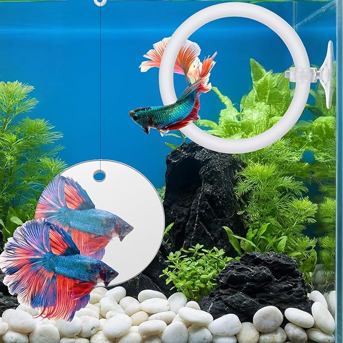 Xthrotsenk 2 Pcs Betta Enrichment Toys Beta Fish Toys for Tank Beta Exercise Ring Floating Mirror Set Fish Feeding Ring Bettas Tank Accessories for Aquarium