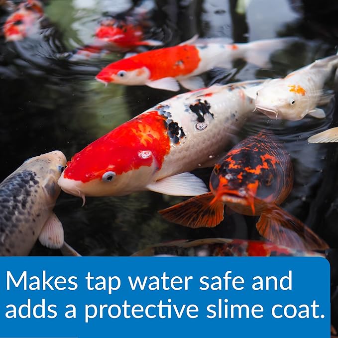 API POND STRESS COAT (1 Gallon) Pond Water Conditioner - Quickly Makes Tap Water Safe for Fish & Plants - Up to 15360 Gallons - Removes Chlorine, Ammonia & More - Natural Aloe Vera