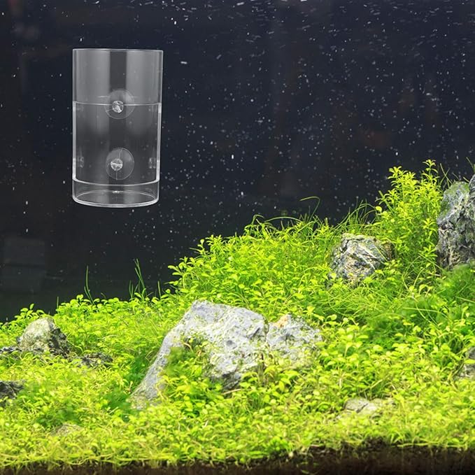 Toddmomy Automatic Acrylic Fish Feeder and Shrimp Feeding Dish for Aquarium Tank with Suction Cup Small Size Betta Fish Feeding Tool
