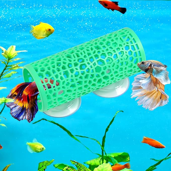 Abizoo Betta Fish Tunnel Hideout for Aquarium Decoration Hollow Coral Design Smooth Finish, Fish Tank Accessories Habitat Cave for Betta Shrimp Guppies Neon Tetras Zebra Danios Small Fishes,Mint Green