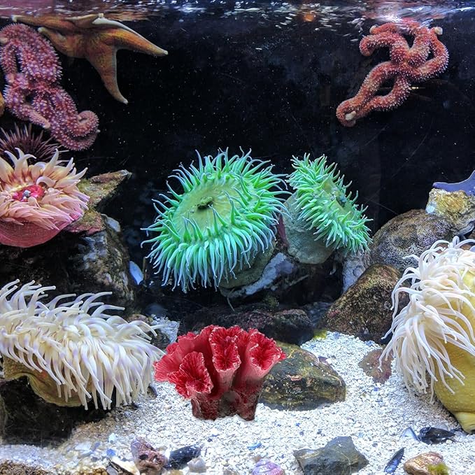 balacoo Artificial Coral Aquarium Decor Realistic Resin Rockery Decoration for Fresh and Saltwater Fish Tanks Easy to Clean Fake Coral Reef Ornament for Fish Tank Landscaping 2.75X2.36X1.96In