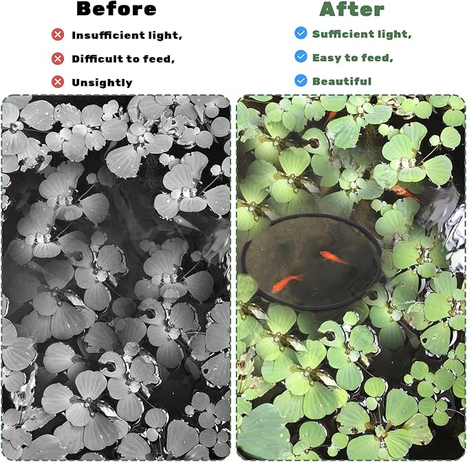 10 Pcs Fish Feeding Rings Set, Floating Plant Ring Aquarium Plant Corral Round Square Fishes Feeder Rings Aquariums Floating Plants Barrier Fishes Tanks Aquarium Floating Ring for Fish Tank Aquariums