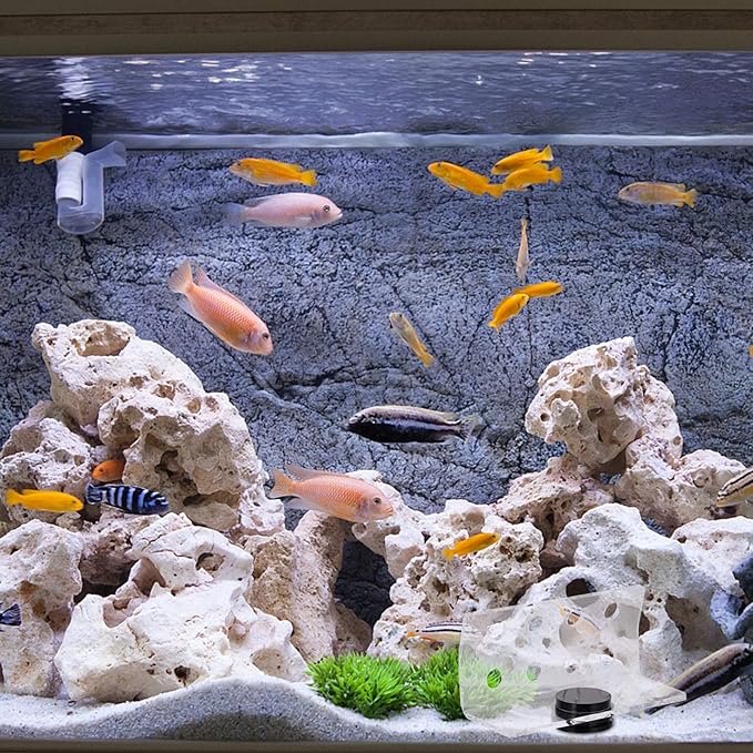 balacoo Magnetic Coral Rack Acrylic 8 Hole Coral Frag Holder Aquarium Fish Tank Coral Stand Support for Aquarium Fish Tank Supply