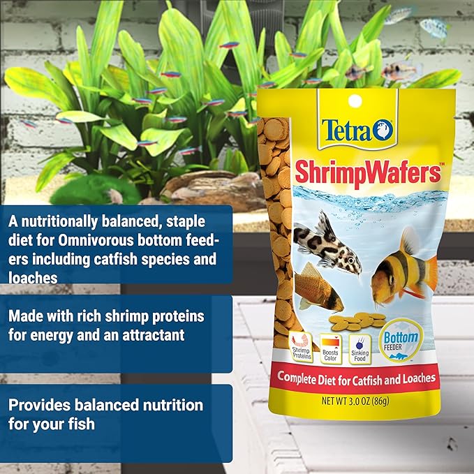 Tetra ShrimpWafers Complete Diet for Catfish and Loaches 3 Ounce,(Pack of 2)