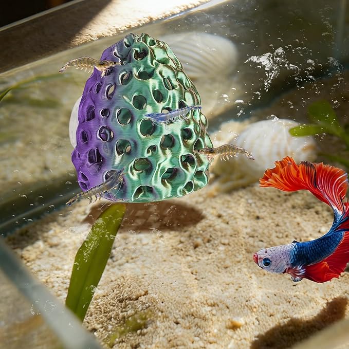 Shrimp Dome Hide, Shrimp Hides for Aquarium, Betta Fish Hideout with Suction Cup, Betta Habitat Tank Ornament Accessories, Aquarium Decor for Small Fish Guppy Hiding Resting (Lid Green Purple)