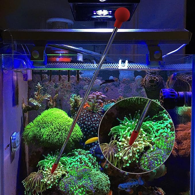 MagTool Aquatic Reef Tank Coral Tube Feeder with Detachable Acrylic Tubes and Feeder Rack for Precise Feeding and Tank Cleaning