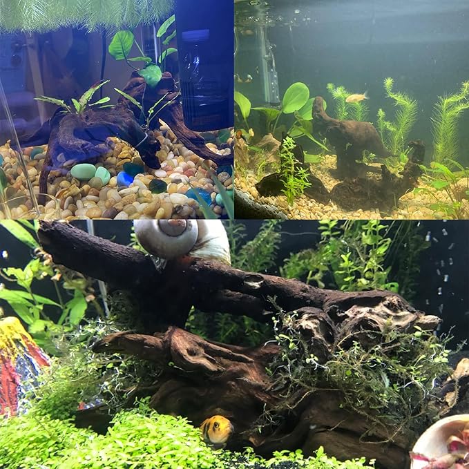 Tfwadmx Natural Driftwood for Aquarium Decor-4 Pieces 5-8" Assorted Driftwood,Fish Tank Drift Wood Decoration, Freshwater Wood Branches Ornament for Reptile Terrarium,Air Plants
