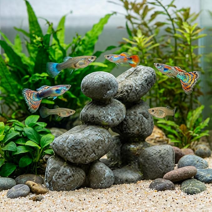 Wave Zen Stone, Small
