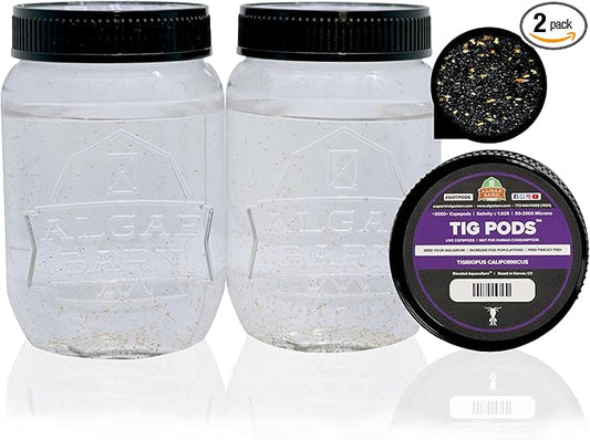AlgaeBarn Live Copepods :: Tigriopus californicus Copepods :: Clean Your Tank :: Mandarin & Finicky Fish Food (6,000+ Pods)