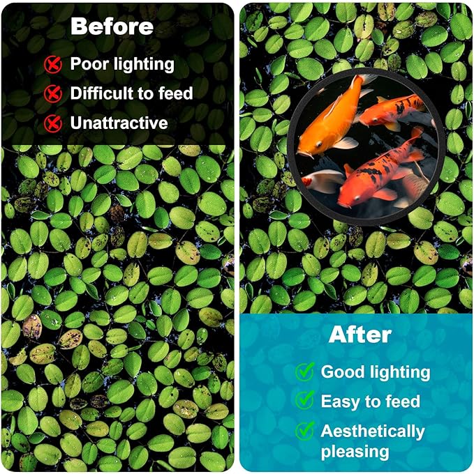 OIIKI 10 PCS Fish Feeding Rings Set - Floating Aquarium Plant Corral, Oval Rings, Tank Accessories - Black, 5 Sizes