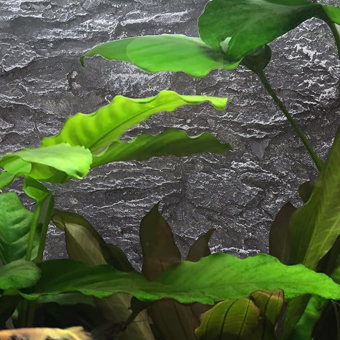 Glass Containers Terrarium Background 3D Reptile Tank Background Board Stereo Backdrop Wall Snake Habitat Decor for Lizard Bearded Dragon Gecko Spider Turtle Fish Dragon Decor