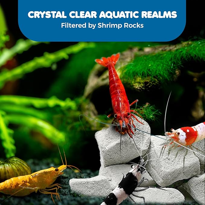 SunGrow Shrimp Rocks for Aquarium, 4-oz. Calcium Stones for Shrimp, Freshwater Aquarium Calcium Rocks for Snails, Recreate Shrimp Habitat, Feeder Discs for Crabs & Crayfish, Snail Tank Accessories