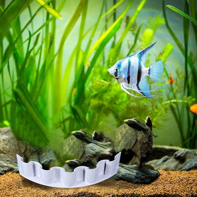 Aquarium Substrate Barrier Divider | Fish Tank Sand Screen Fence for Landscaping, Decorative Board to Separate Gravel & Soil Layers in Aquariums, Terrariums & Planted Tanks Setup