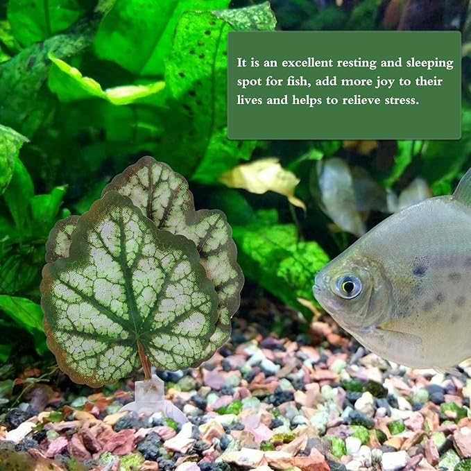 iplusmile Betta Fish Leaf Pad 2Pcs Aquarium Leaf Hammocks Pad Fish Tank Plants Accessories for Playing Hideout and Aquarium Decorations Simulating The Habitat Green