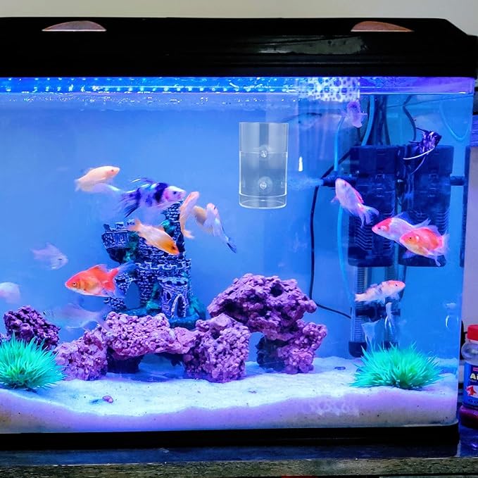 TOYANDONA Acrylic Aquarium Fish Feeding Dish Automatic Feeder with Suction Cup for Shrimp and Snail Feeding Small Fish Tank Accessory