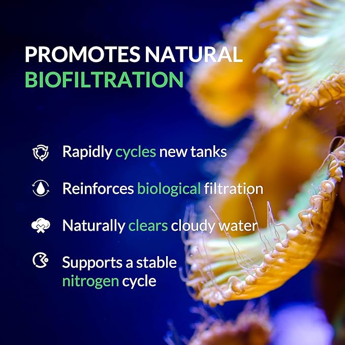 Saltwater Complete – Live Nitrifying Bacteria Blend for Saltwater & Reef Aquariums - Instant Cycle Marine Tank Starter - Removes Ammonia Nitrite - Clarifier - Safe for Fish Coral Invertebrates - 1Gal