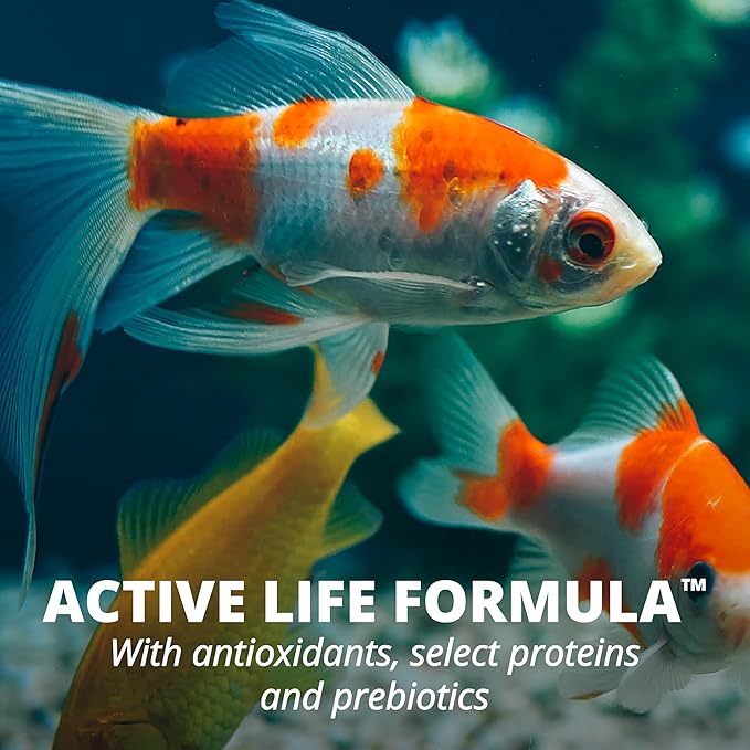 Tetra Goldfish Vitamin C Enriched Flakes Nutritionally Balanced Diet for Goldfish and Small Koi, 8.81 Ounces (250 Grams)
