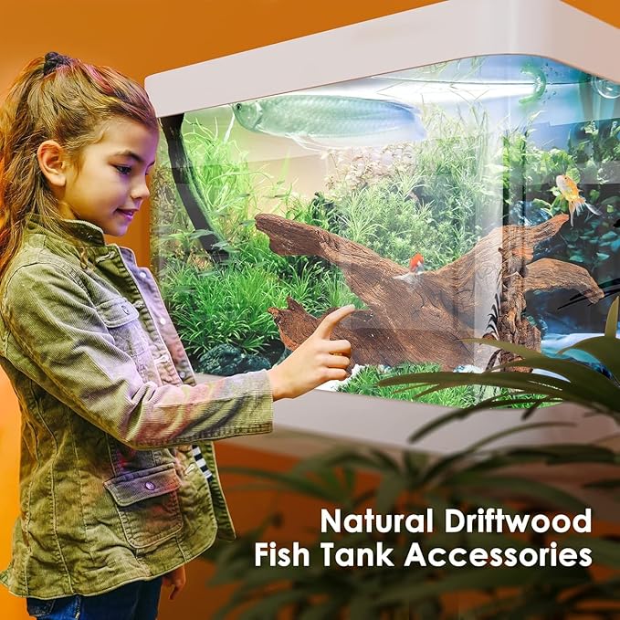Jorewood Natural Small Aquarium Driftwood for Fish Tanks & Reptile Terrariums – 100% Safe Fish Tank Decorations, Unique Twisted Branches 5-Piece 4-8 Inch Low Tannin, Easy to Sink