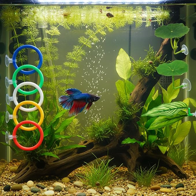 Betta Fish Toys, 13 Piece Betta Toys Set with Five Resting Leaves and Three Floating Balls, Colorful Hoops in Blue Green Yellow White Red, Enrichment Activities for Betta Fish
