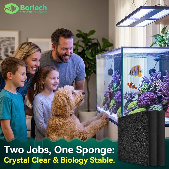 Borlech Aquarium Bio Filter Sponge Pad - Cut-to-Size Aquarium Filter Media for Fish Tank, Pond, Sump - Mechanical & Biological Filtration (18.5"x18.5"x0.8", 50PPI, 1 Pack)