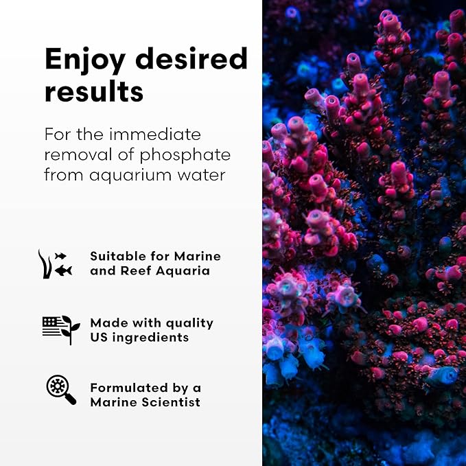 Brightwell Aquatics Phosphat-E Liquid Phosphate Remover for Marine Fish and Reef Aquariums - Aquarium Water Treatments, 135.25 fl oz
