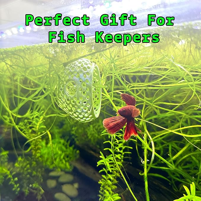 CTWPets Natural Betta Bulb Hide | Betta Rest Fish Tank Ornament | Aquarium Cave with Suction Cup for Small Fish Tank, Betta Habitat, Shrimp Hideout, Aquatic Decor (Silver)