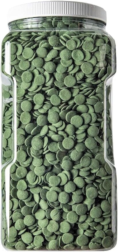 Spirulina, Algae & Veggie 12mm - 1/2" Small Sinking Wafers for Bottom Fish, Shrimp, Snails, Crabs, Crayfish, All Tropical Fish. AFI Wafers...5-lb Lg Jar