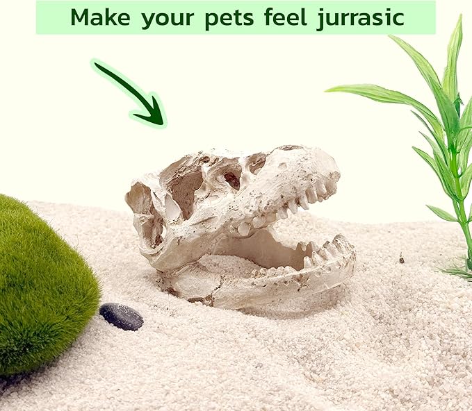 Mini T-Rex Skull Aquarium & Reptile Tank Decor – Dinosaur Fossil Hideout for Fish, Geckos, Hermit Crabs, and Terrariums – Small Resin Jurassic Decoration for Aquascape, Vivarium, or Pet Habitat