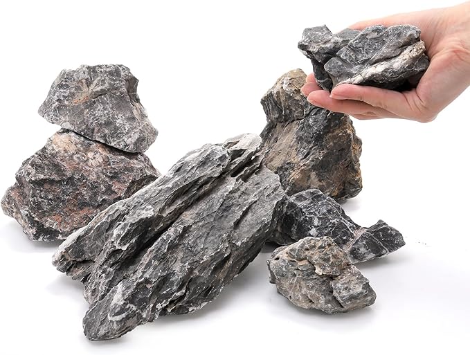 Eorbow 12lb Seiryu Stone, Aquarium Rocks for Terrariums, Paludarium, Vivariums, Reptile, Amphibian Enclosures, Fish Tank Decor for Aquarium Landscaping Models