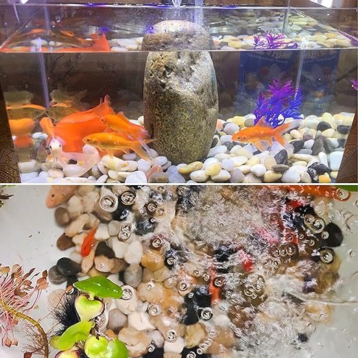 River Rocks for Plants 5.5 LB Small Decorative Pebbles 1"-1.5" Polished Stones Smooth Aquarium Gravel for Fish Tank Vases Indoor Planters Outdoor Landscaping Garden (88oz)