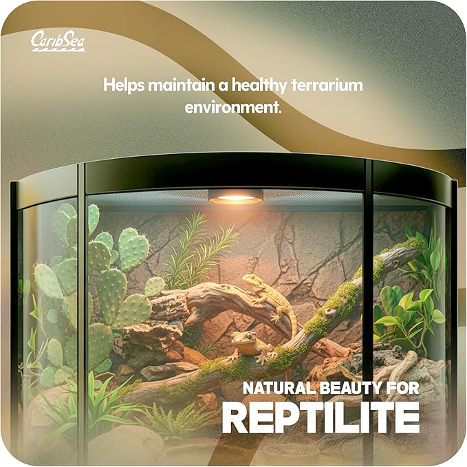 CaribSea Reptiles Calcium Substrate Sand - 20 lb Each - Natural White Sand for Reptile Terrariums, Promotes Healthy Habitat & Optimal Calcium Levels (Pack of 2)