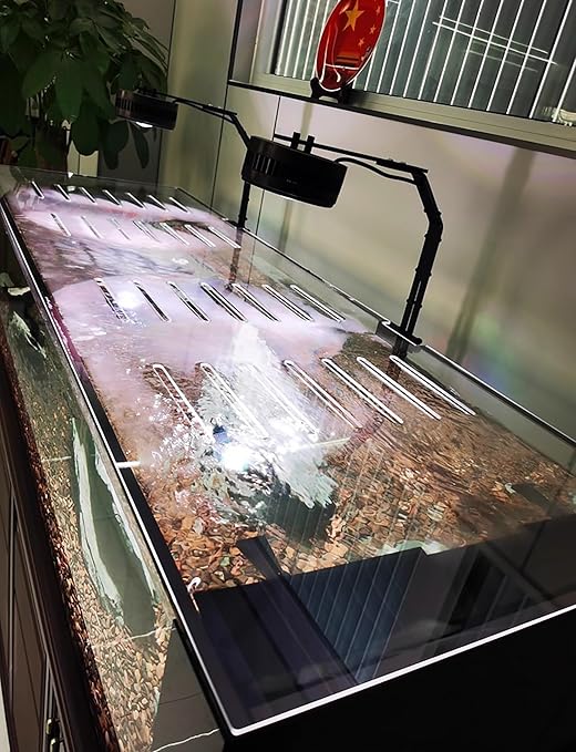 5mm Acrylic Aquarium Cover - Non-Jump Fish Tank Lid for Turtle, Arowana - Blocks Cats & Debris(15.7x9.8in/40x25cm)
