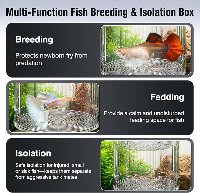 Floating Acrylic Breeder Box for Fish Tank - Aquarium Isolation Separator Hatchery Incubator for Guppy, Betta, Clownfish, Coral, Baby & Injured Fish