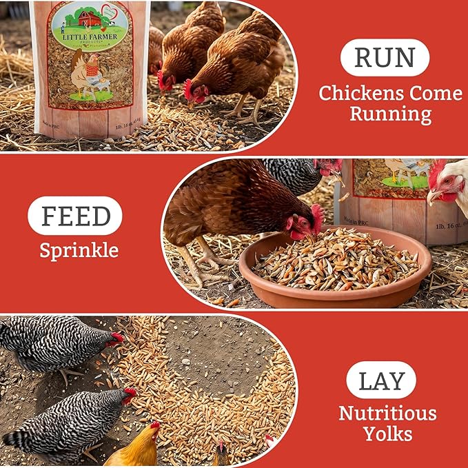 Fish & Shrimp Chicken Treats with Dried Shrimp and Freeze Dried Minnows, High Protein Chicken Snacks with Omega 3 and Calcium for Chickens and Ducks - 1 lb