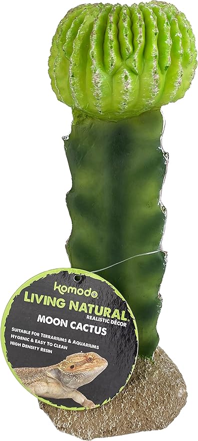 Multi Pet 48593325: Komodo Cactus Plant Moon, 7.5In
