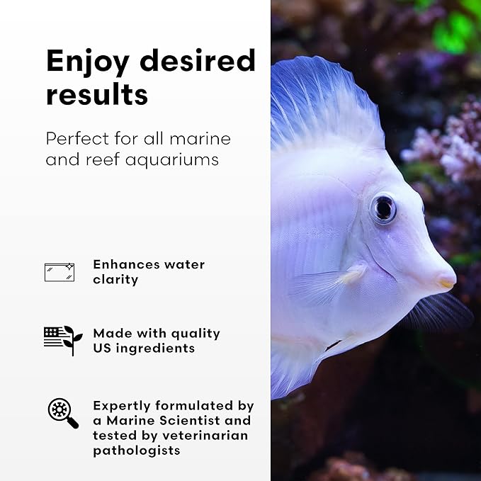 Continuum Aquatics Clean Equation M – Marine Aquarium Cleaner & Clarifier – Clears Water, Loosens Debris, Supports Reef & Fish Health, Advanced Formula 500 ml