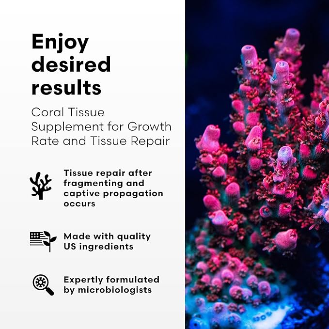 Brightwell Aquatics - Restor Liquid Coral Tissue Supplement - Fish Tank Reef Nutrition for Live Coral Growth Acceleration, Colour Vibrancy, & Restoration Additive - Saltwater Reef Supplies, 8.45 fl oz