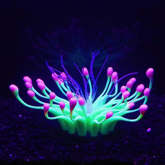 Soft Silica Gel Moves Naturally with Water Flow, Aquarium Decorations Glow in The Dark, Glowing Coral Ornaments for Fish Tank Decorations (Green, Equinox)