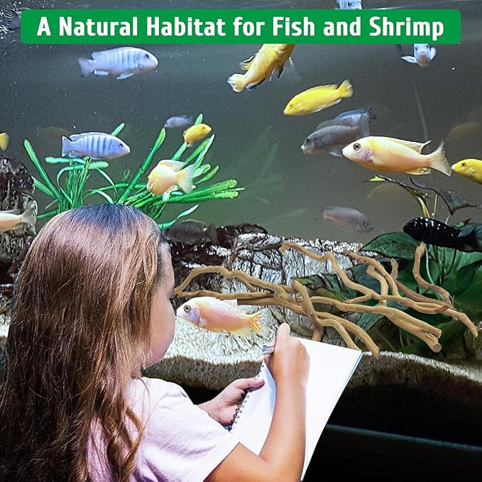 kathson Natural Driftwood for Aquarium, Red Moor Driftwood Mix 12''-16'' Long Driftwood for Decorations Aquarium Driftwood Assorted Shapes Natural Aquarium Decor Driftwood (250g, Medium Branches)