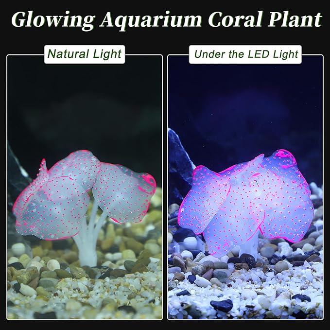 Silicone Glowing Aquarium Decorations, Fluorescence Coral, Glowing Sea Anemone Decor, Glowing Sucker Coral for Aquarium Decor Purple Pink Green 1 Set