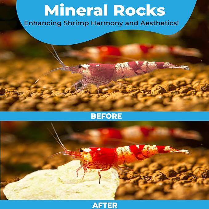 JOR Water Conditioner Calcium Rocks for Baby Shrimps, Isopods, and Crayfish, Enhances Pet Color, Provides Hideout, Breeding Spot, Beneficial for Shedding, Rustic Decor for Big and Nano Tanks, 3.5 oz.
