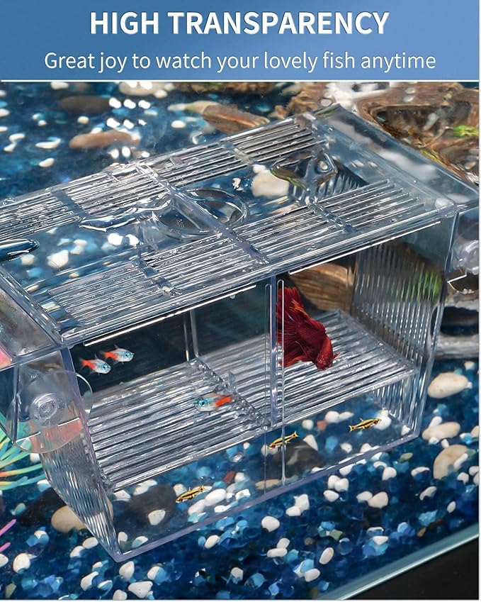 Pawfly Aquarium Fish Breeding Box Acrylic Hatchery Incubator Tank with Suction Cups Medium Isolation Box for Baby Fish Shrimp Betta and Guppy