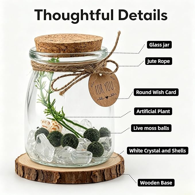 Moss Balls Glass Terrarium Kit - 5 Decorative Green Balls with Glass Jar, White Crystal, DIYAquarium and Desk Decor, Easy-Care Gift for Home and Office