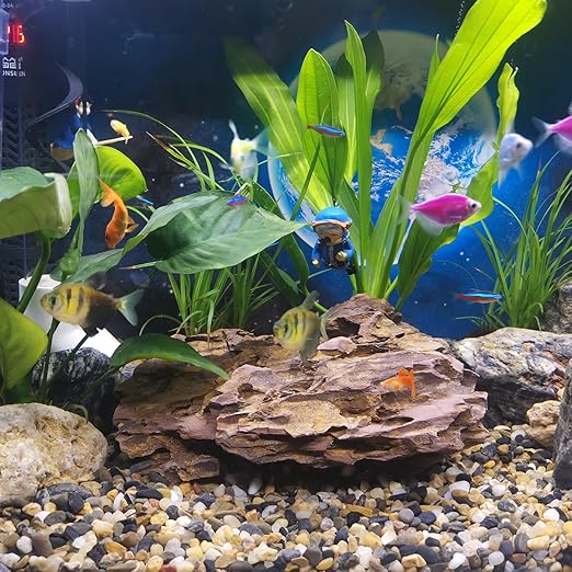 20LB Aquarium Gravel, 1/4" Pea Gravel for Fish Tank, Small River Rocks for Garden Decoration, Landscaping, Vase Filling, Flower Pot Paving(4-8MM)