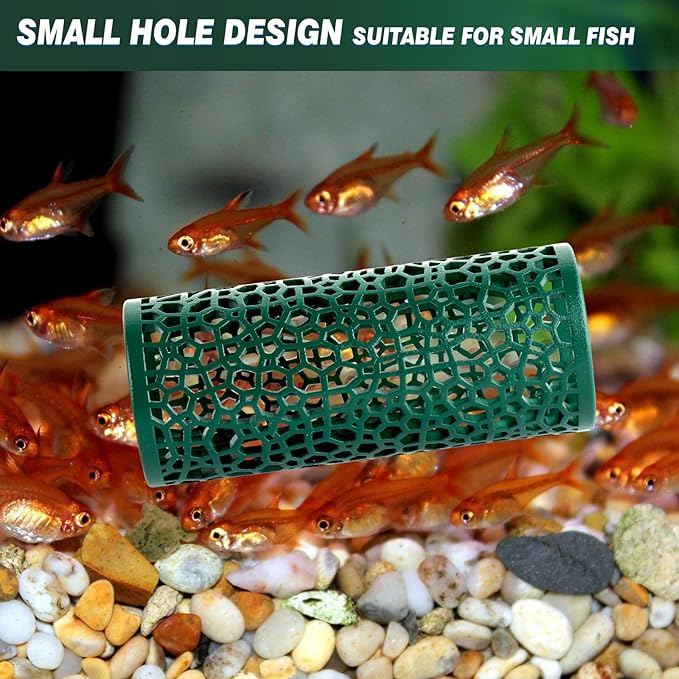 Abizoo Betta Toys - Dark Green Hollow Betta Fish Tunnel & Reptile Hide - Safe Enrichment Aquarium Decor