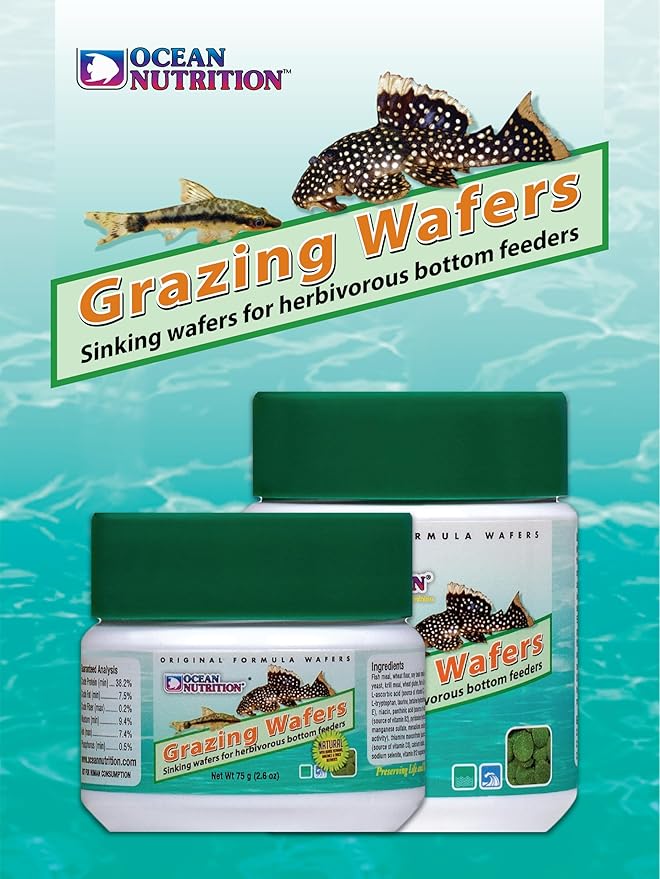 Ocean Nutrition Algae Wafers, Tropical Fish Food, Pleco Wafers, Algae Wafers for Bottom Feeders, Nutritionally Balanced Vegetarian Fish Food for Herbivorous Bottom Feeders, 2.6 oz (75 g)
