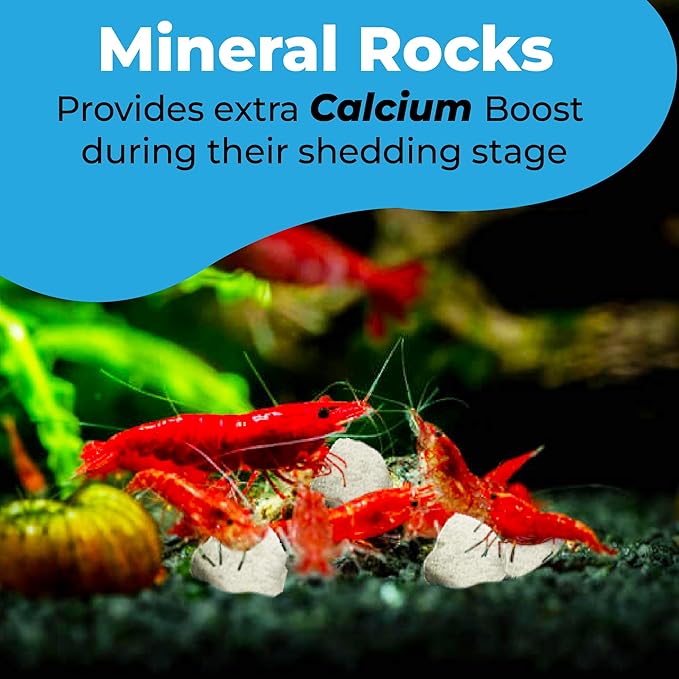 JOR Calcium Rocks for Shrimps, Enhances Pet Color, Provides Hideout, Beneficial for Shedding, and Breeding Spot, 1.7 oz. (50g)