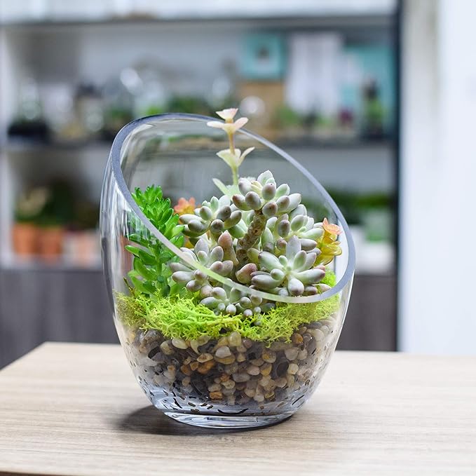 Clear Slant Cut Bubble Bowl, Fish Bowl & Plant Terrarium, Candy Jar Slant Cut Globe Vase Center Piece, Round Flower Vase, (6.9“ Tall .5.5“ Wide) …