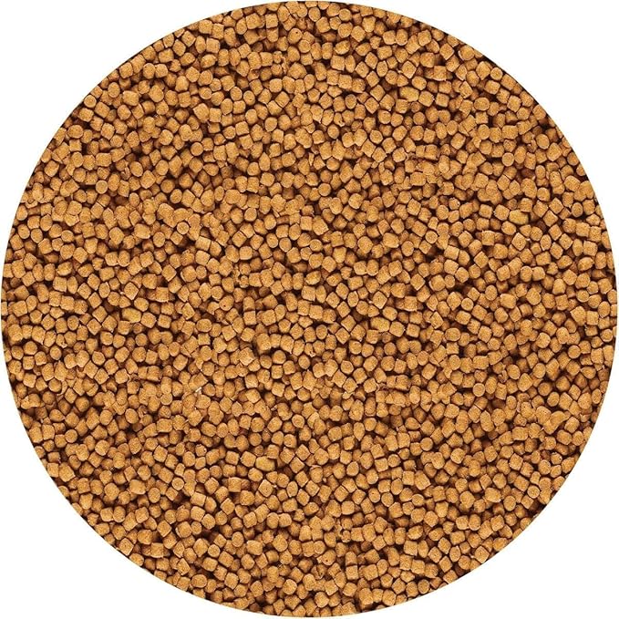 API POND COOL WATER FOOD Pond Fish Food 11-Ounce Container